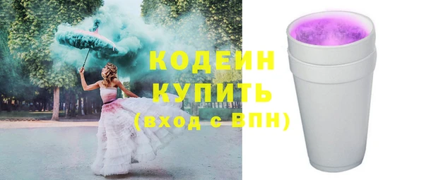 шишки Мегион