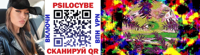 Галлюциногенные грибы MAGIC MUSHROOMS  купить наркотики сайты  Брянск 